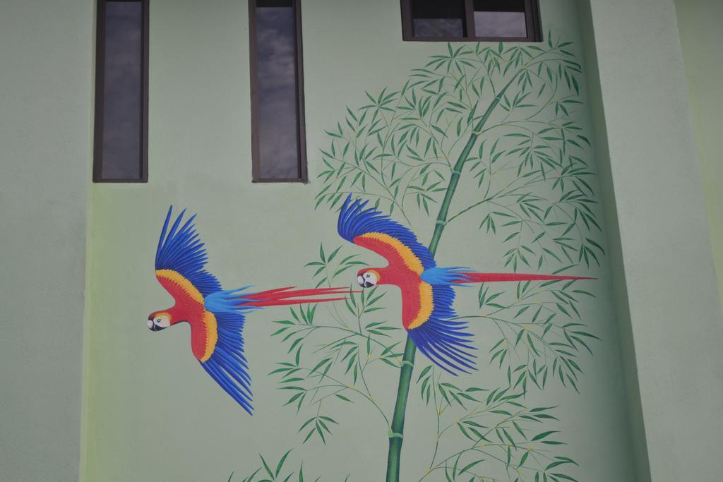 Mavi Surf Hotel Dominical Luaran gambar